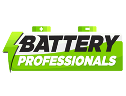 BATTERY PROFESSIONALS O.E. 